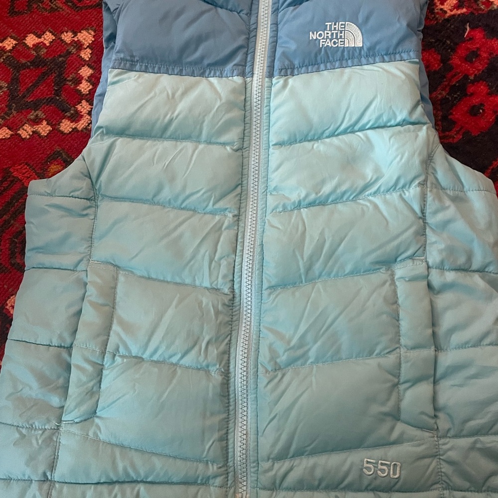 The North Face Blue Puffer Vest
